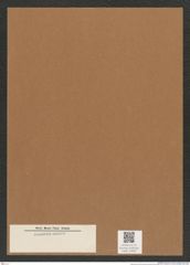Diatomeae indet. Zeichnungen Sammlung Grunow Mappe 04081 (Herbarium_W_Grunow_drawings_Folder_04081)